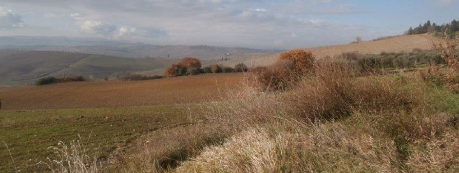 Il seme è la parola di Dio. Luca 8,11