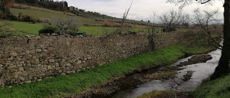 Il seme &egrave; la parola di Dio. Luca 8,11